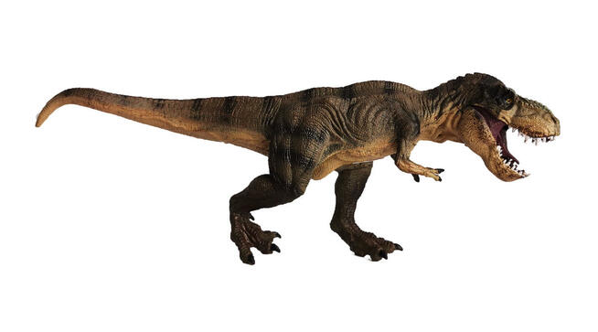 Polecamy nową figurkę DINOZAURA: Tyranozaur (Tyrannosaurus