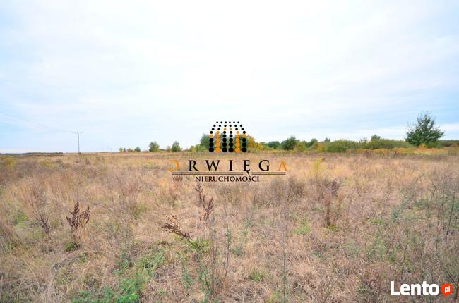 Działka Budowlana, Santok, 55 000 zł