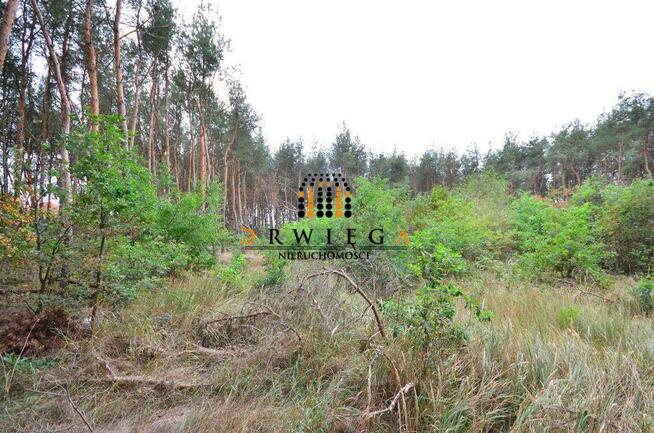 Działka Budowlana, Karnin, 495 000 zł