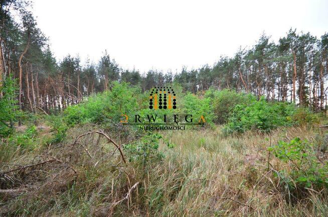 Działka Budowlana, Karnin, 495 000 zł