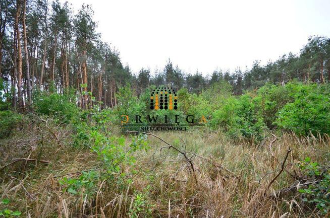 Działka Budowlana, Karnin, 495 000 zł