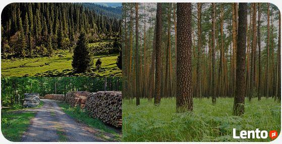 Wycena Domu, Działki, Mieszkania - Rzeczoznawca Majątkowy