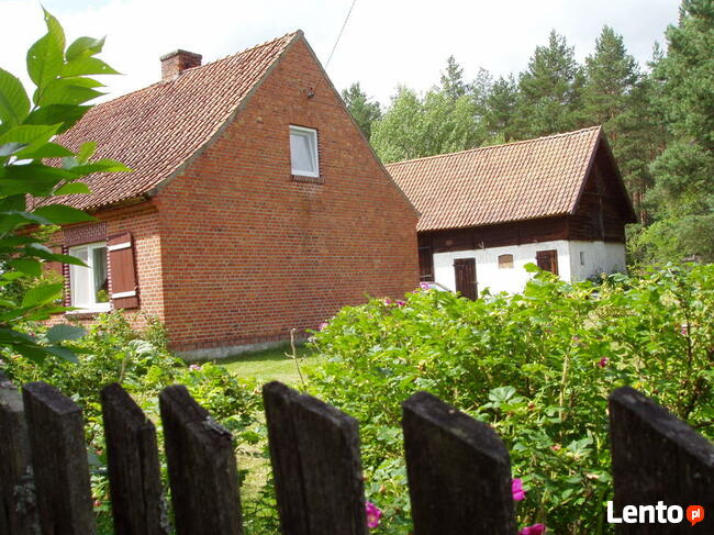 Mazury .Dom letniskowy do wynajęcia