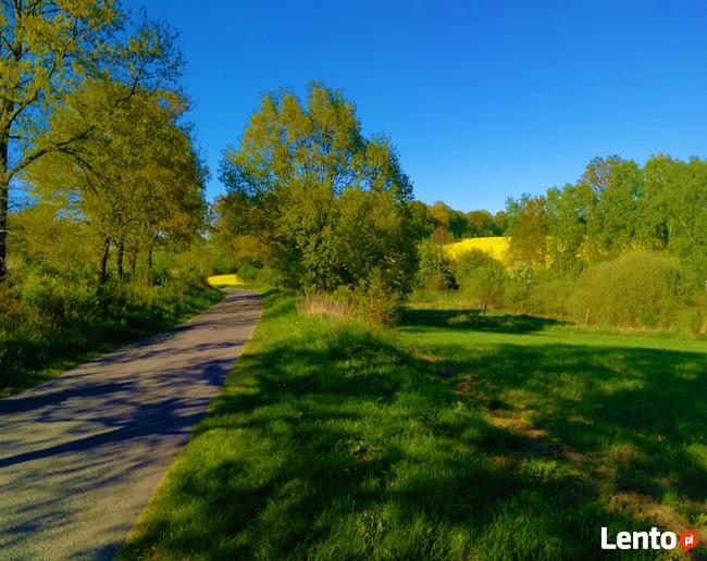 działki w bliskiej okolicy Szczecina