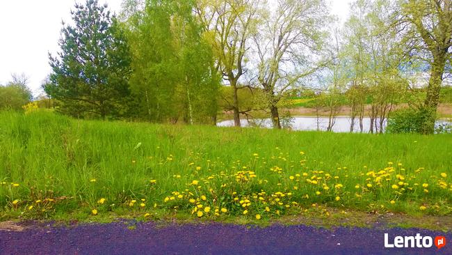 działki w okolicy Stargardu