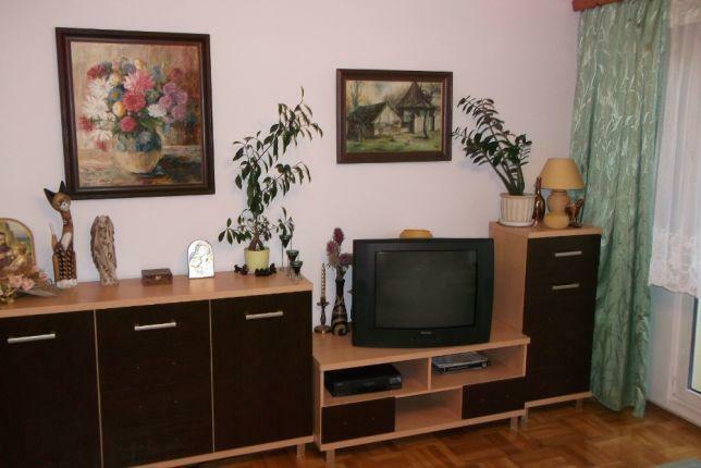 Mieszkanie wynajem, dużego salonu w 3 pokojowym mieszkaniu