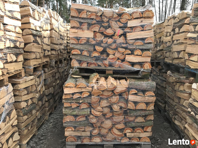 Suche Drewno Kominkowe Brzoza Warszawa Piaseczno