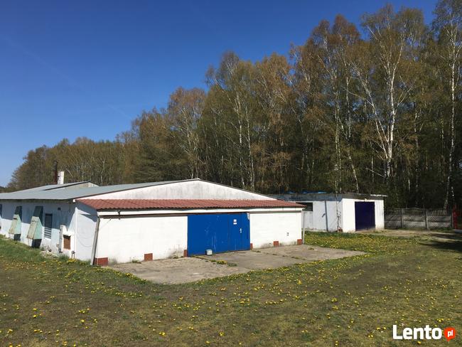 Działka z zabudowaniem do sprzedaży/ wydzierżawienia 2,22ha