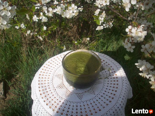 Świeży sok z pokrzywy