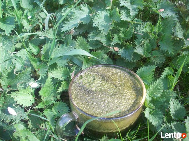 Świeży sok z pokrzywy