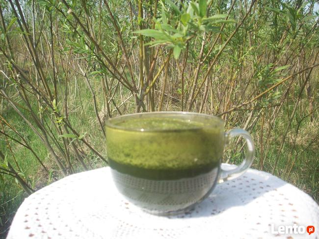 Świeży sok z pokrzywy