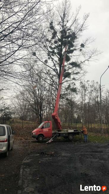 Wynajem podnośnika koszowego(zwyżka) z operatorem