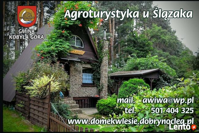 domek letniskowy kazdy na osobnej ogrodzonej działce