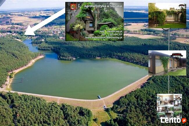 domek letniskowy kazdy na osobnej ogrodzonej działce