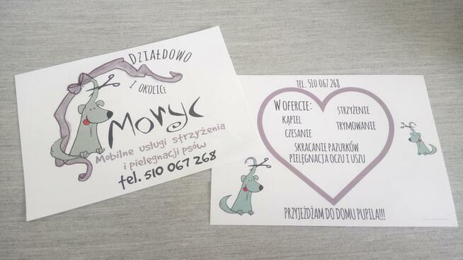 strzyżenie psów psi fryzjer groomer