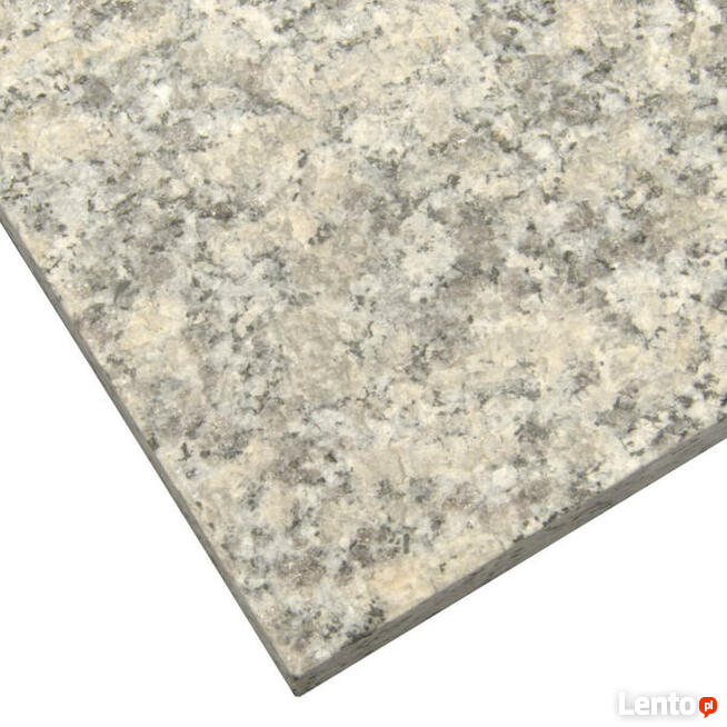 Płytki Granitowe Szare Struktura G602 60x60x2cm