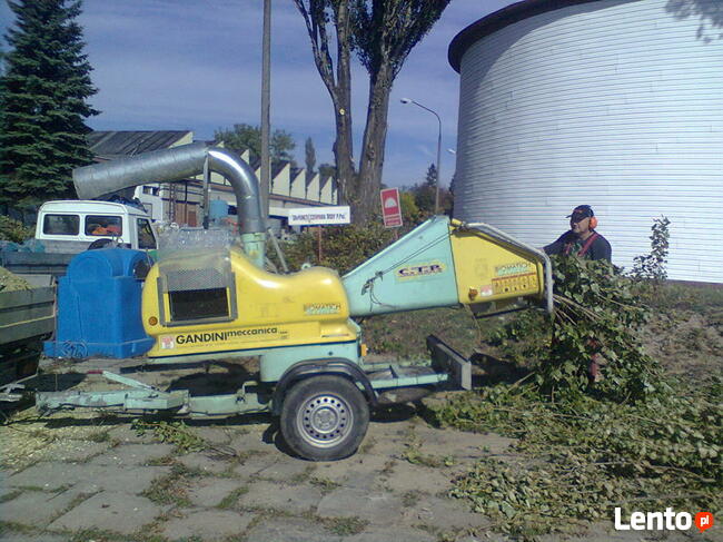 Wycinka pielęgnacja drzew, pielęgnacja zieleni