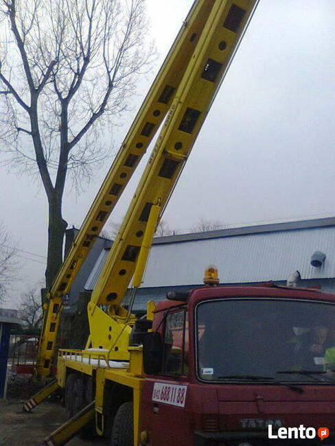 Wycinka pielęgnacja drzew, pielęgnacja zieleni