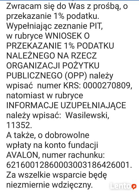 Potrzebna pomoc, pilne