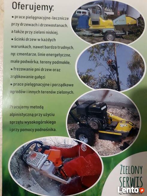 Wycinka pielęgnacja drzew, pielęgnacja zieleni