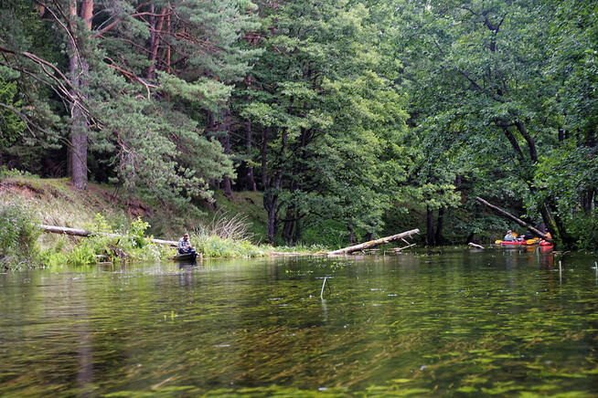 Spływy Kajakowe KAJAKI - WIGRY