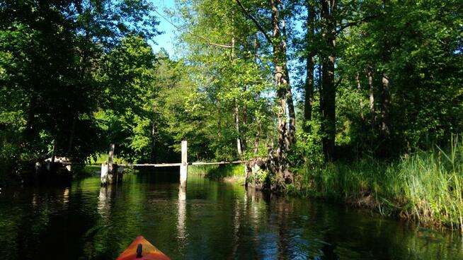 Spływy Kajakowe KAJAKI - WIGRY