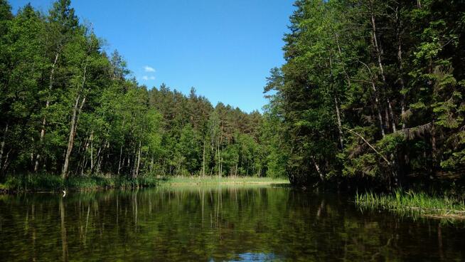 Spływy Kajakowe KAJAKI - WIGRY