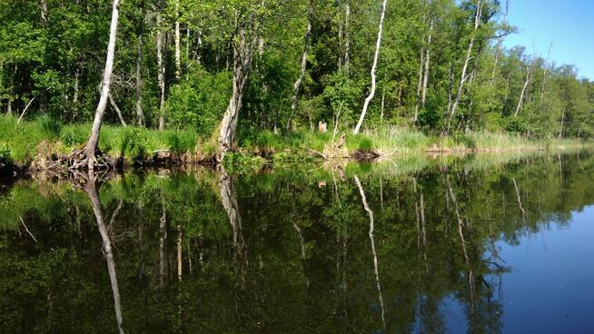 Spływy Kajakowe KAJAKI - WIGRY