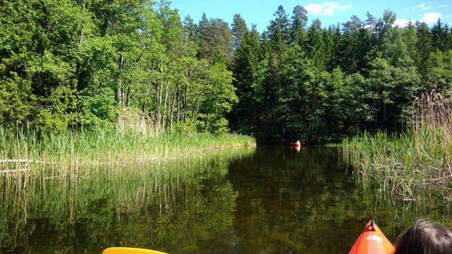 Spływy Kajakowe KAJAKI - WIGRY