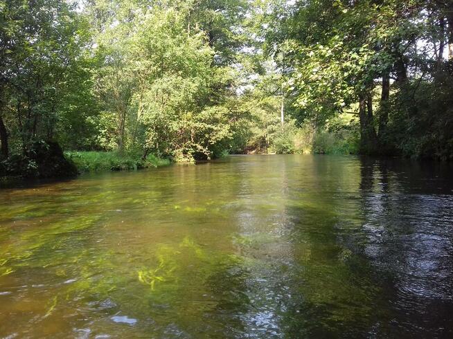 Spływy Kajakowe KAJAKI - WIGRY