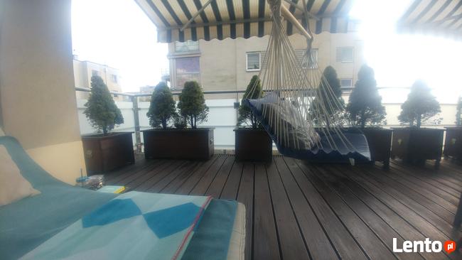 Wynajmę 2 pokojowe przytulne mieszkanie z tarasem!