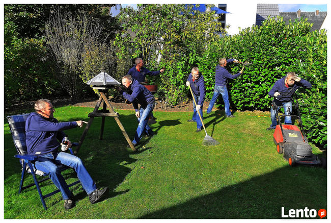 Usługi ogrodnicze Glebogryzarka separacyjna Weltykulator