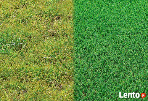 Usługi ogrodnicze Glebogryzarka separacyjna Weltykulator