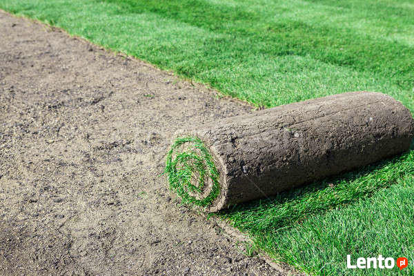 Usługi ogrodnicze Glebogryzarka separacyjna Weltykulator