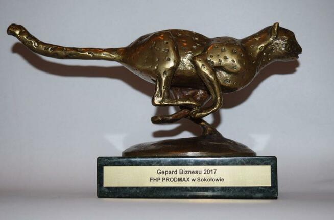 OKAZJA!!! Rozeta Wybłyszczana FI 115 Producent Prodmax