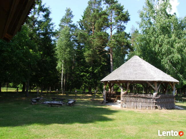 Całoroczne domy w Puszczy Augustowskiej