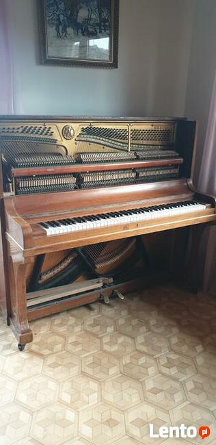 TRANSPORT PRZEPROWADZKI KOMPLEKSOWE