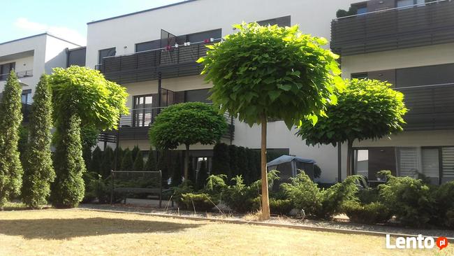 Apartament Os.Chopina Mysłowice, od właściciela z tarasem