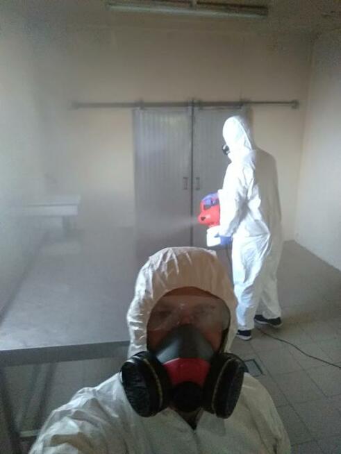 DDD KAJA DEZYNFEKCJA DEZYNSEKCJA DERATYZACJA