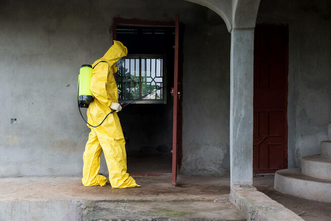 DDD KAJA DEZYNFEKCJA DEZYNSEKCJA DERATYZACJA