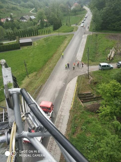 Wycinka i pielęgnacja drzew