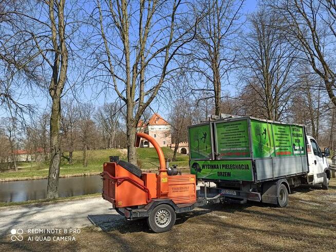 Wycinka i pielęgnacja drzew