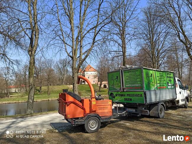 Wycinka i pielęgnacja drzew