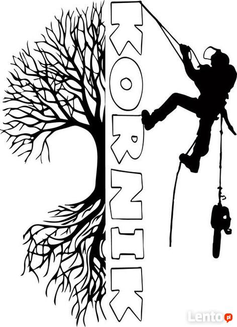 Wycinka i pielęgnacja drzew