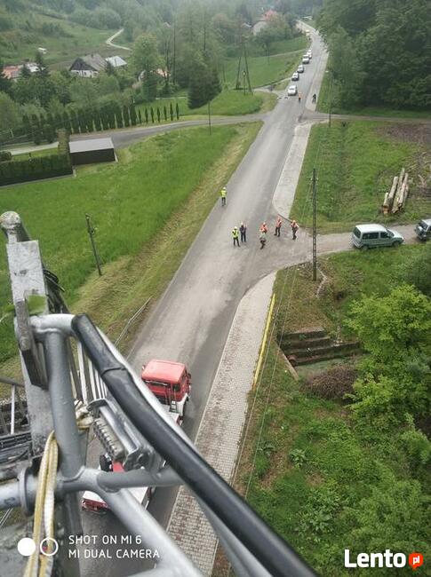 Wycinka i pielęgnacja drzew