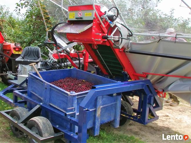 Zbiór wiśni urządzeniem, śliwek GACEK