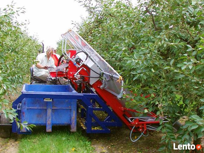 Zbiór wiśni urządzeniem, śliwek GACEK