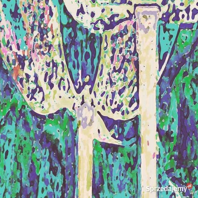 Nowoczesna grafika Tulipany las 60x90