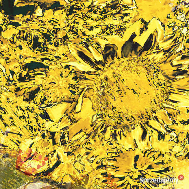 Obraz na płótnie Bukiet słoneczników 60x50