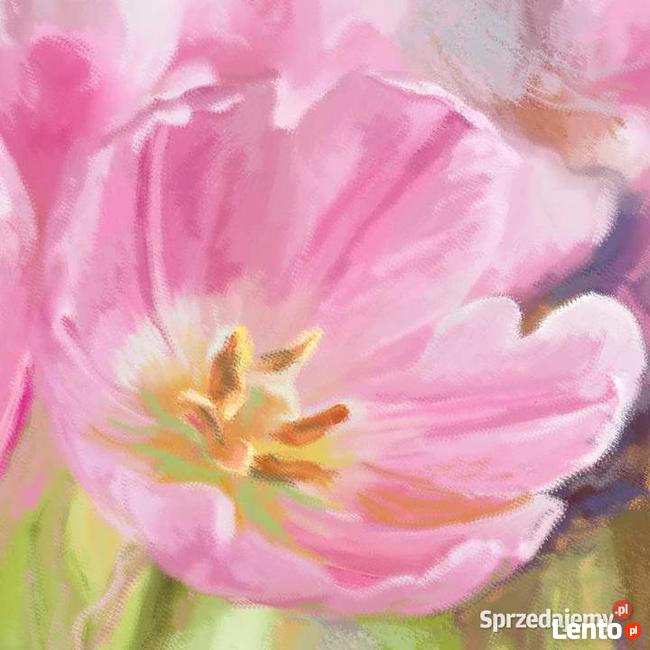 Obraz na płótnie Różowe tulipany